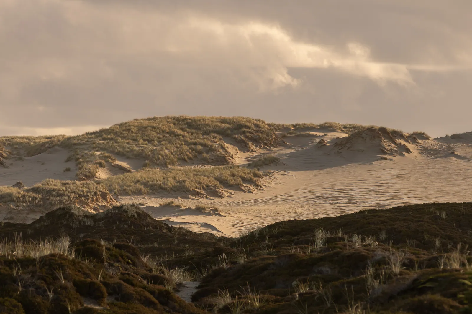 Landschaftsfotografie Sylt — Dünenlandschaft im Morgenlicht
